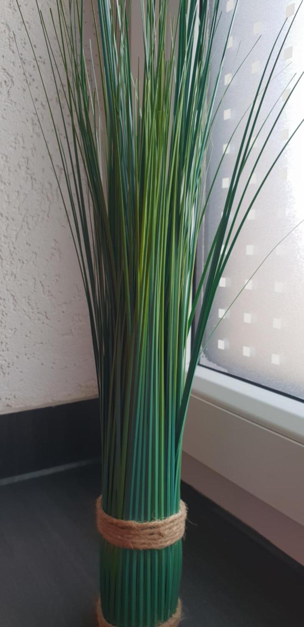 Ferienwohnungen Nahrstedt 발트에크 외부 사진